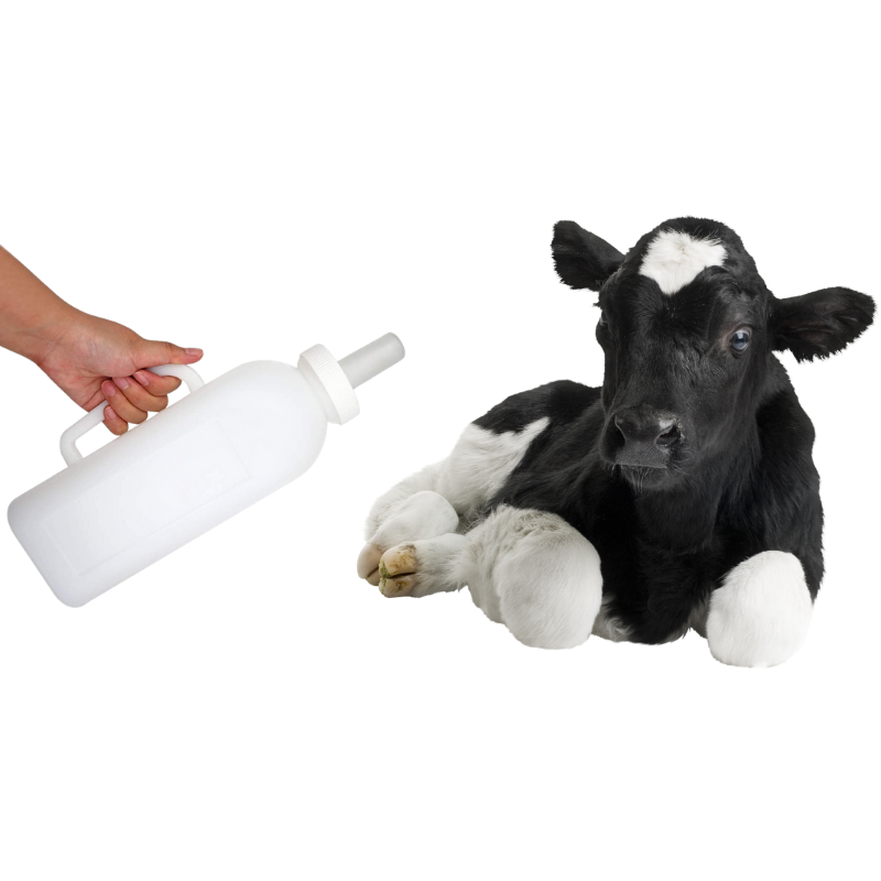 bayfeed,Neolyte Tablet ® 