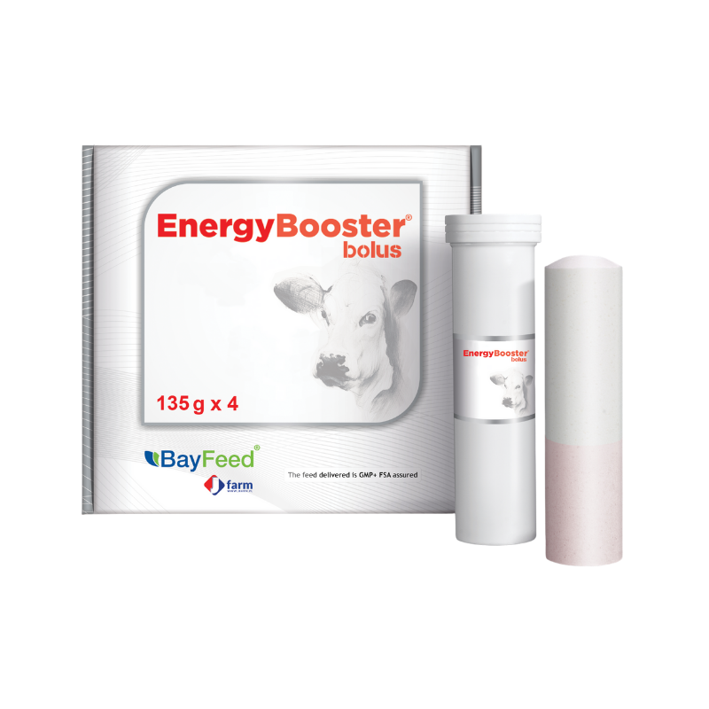 bayfeed,Energy Booster Bolus ®